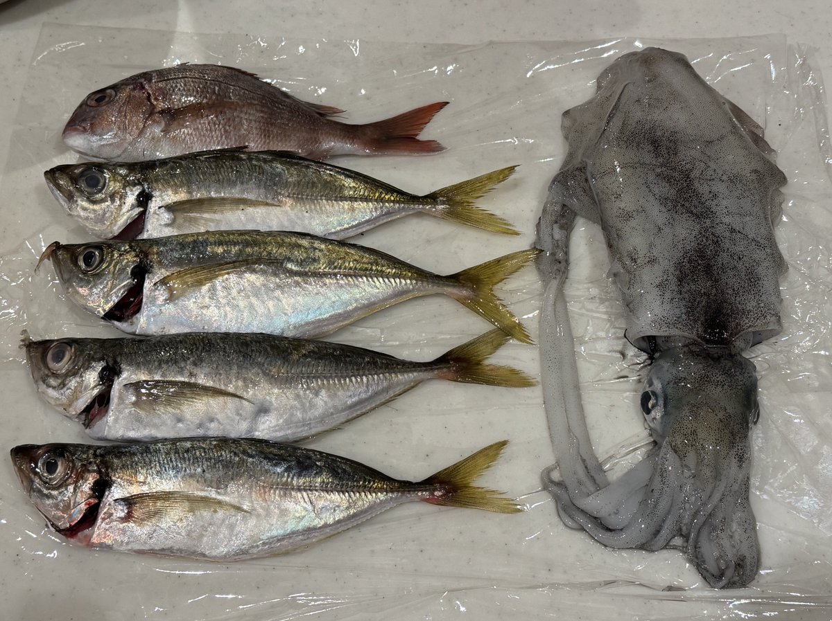 Matchan_Kitchen's tweet image. 何作ろうかなー
オススメ求む！！！！