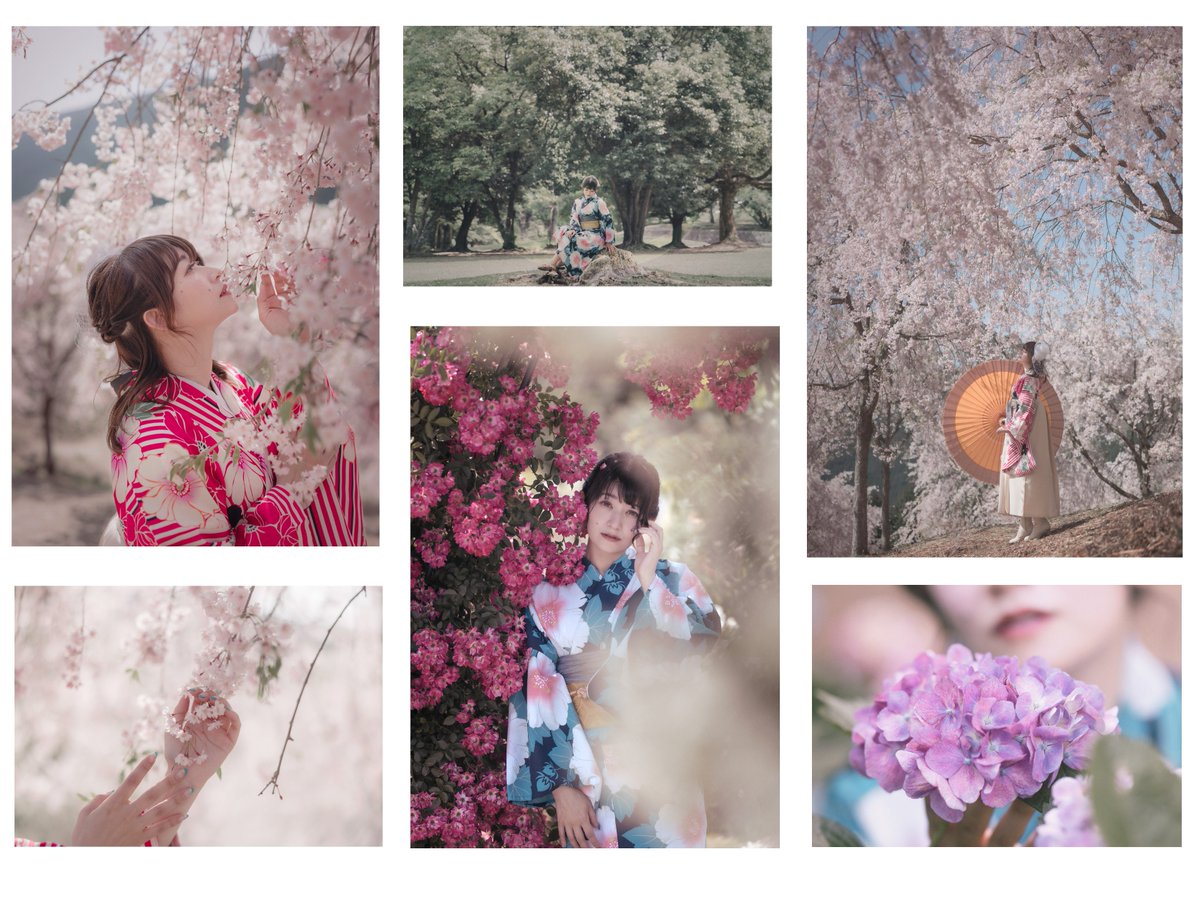 Thor_0916's tweet photo. 先週の #ふわる展２　の話をもう少し。ふわるさん（@yf555555）に2回関西に来てもらって撮影しました。１回は4月（枝垂れ桜）、2回目は6月（紫陽花・バラ）です。６枚の組み写真にしました。引き受けた時にリアポと日程がかぶっていることに気がついていおらず、焦ったのですが、撮影がスムーズに行ったので問題はなかったです。ふだんグラビアとかかっこいい系の写真を撮られているので逆張りしたら、割とみんなそういう写真が多かったのには笑いました。1日しか在廊できなかったのですが、会場むちゃ雰囲気よくて、とてもたくさんの方来てくださいました。ふわるさんの人徳かなあと思います。代理搬入・搬出をしてくださったつばささんはじめみなさんに感謝したいです。ふわるさん、また関西に遠征きてくださいませ。　#TLを花でいっぱいにしよう #portrait