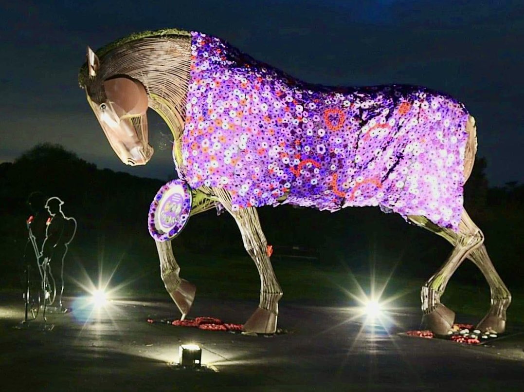 They served too; the animals of war 💜