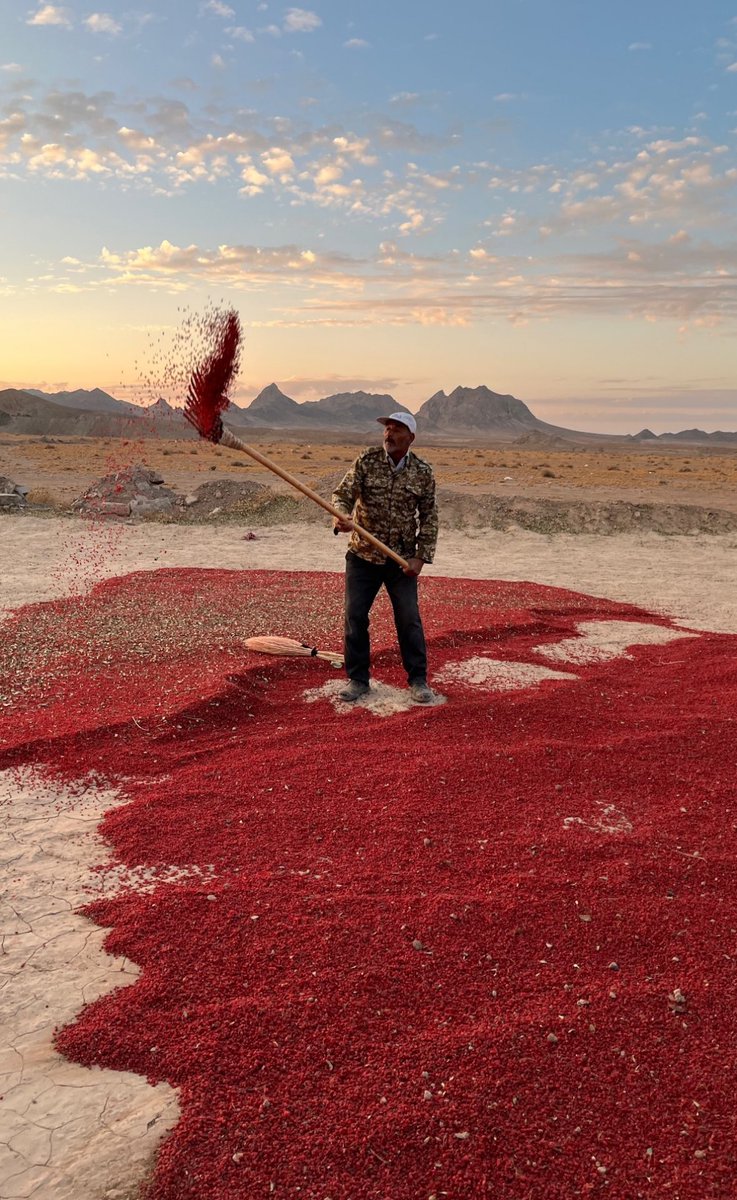 IranianPlateau's tweet photo. پایتخت زرشک ایران، افینِ خراسان جنوبی

عکس از @banafshehteh https://t.co/RWyFfvfOea