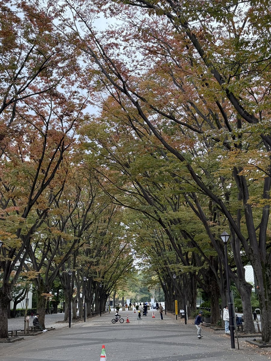 ogi_aki's tweet photo. #馬事公苑 https://t.co/FAxAuKhJem