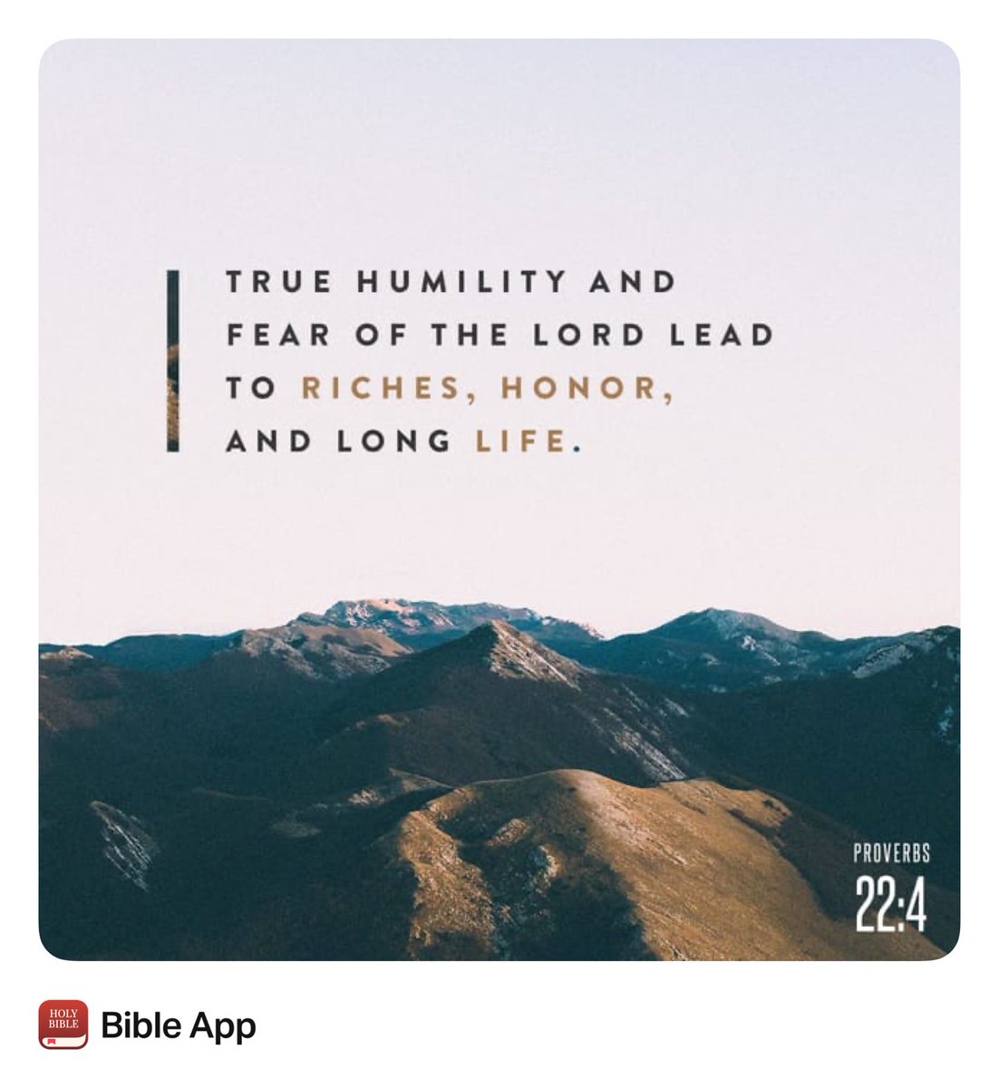 MommaCru tweet media