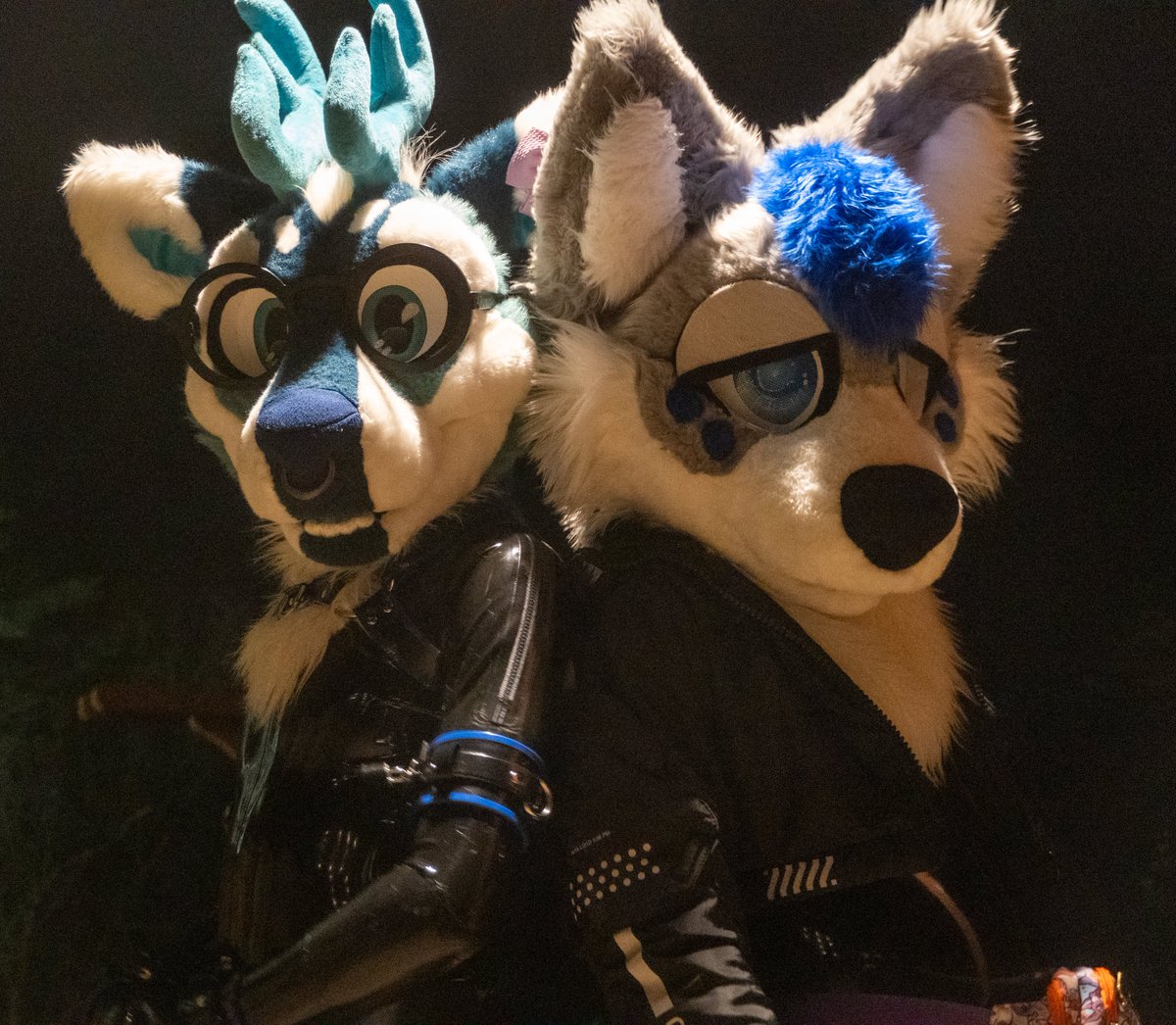 If you are cold, they are cold, let them in~

<a href="/BlueBleatz/">Axel</a> 🦌
<a href="/KektheWusky/">Shrimp Tailed Dog</a> 🐶

#FursuitsEveryday #photoghraphy #furry