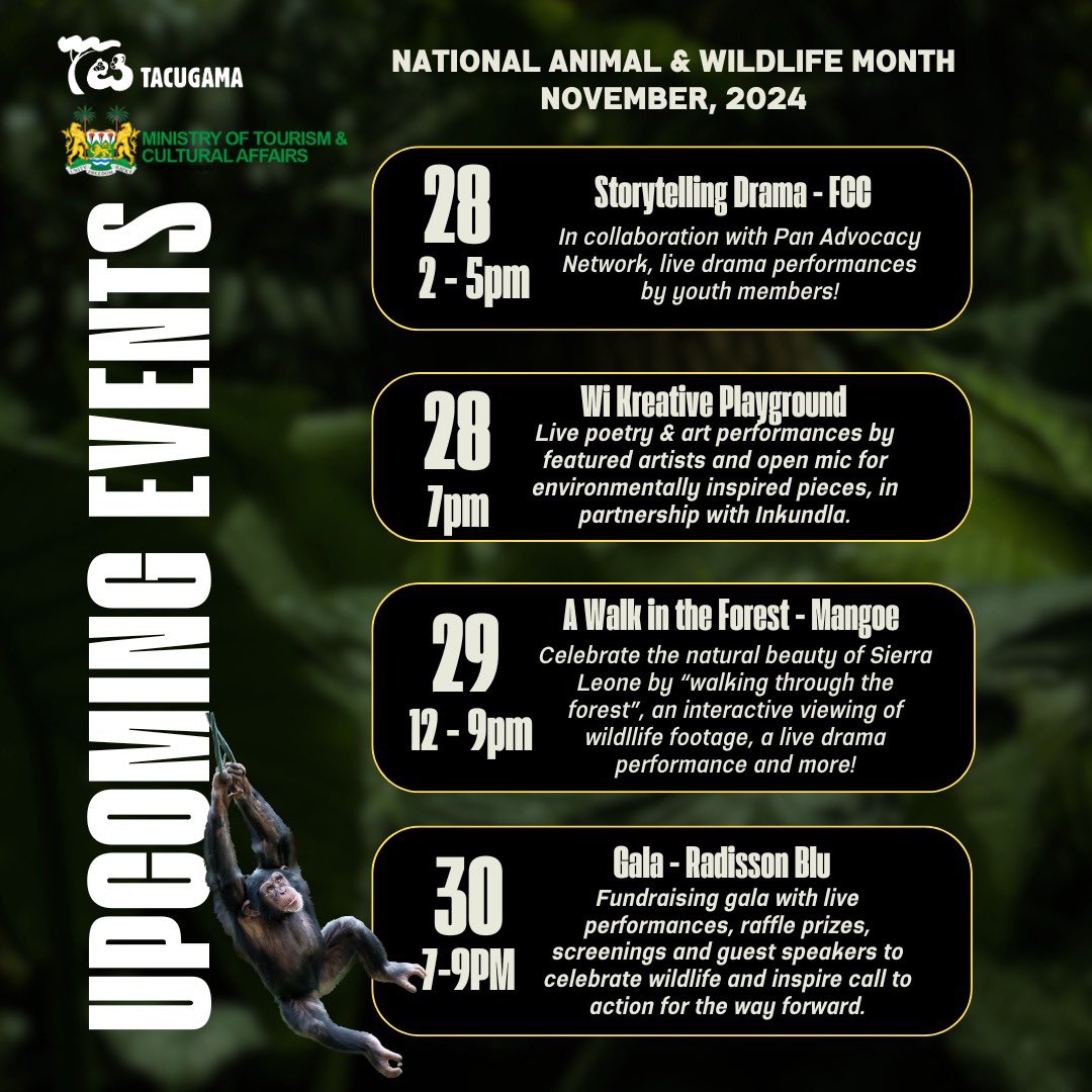 Tacugama (@tacugama) on Twitter photo Join us in celebration of National Animal & Wildlife Month this November!
We will have a variety of events in collaboration with Creative Hub Africa, Hause of Salone, <a href="/Mtcasierraleone/">Ministry Of Tourism and Cultural Affiars</a> and more! All events are free of charge except for our fundraising gala on the 30th. Join us in celebration of National Animal & Wildlife Month this November!
We will have a variety of events in collaboration with Creative Hub Africa, Hause of Salone, <a href="/Mtcasierraleone/">Ministry Of Tourism and Cultural Affiars</a> and more! All events are free of charge except for our fundraising gala on the 30th.