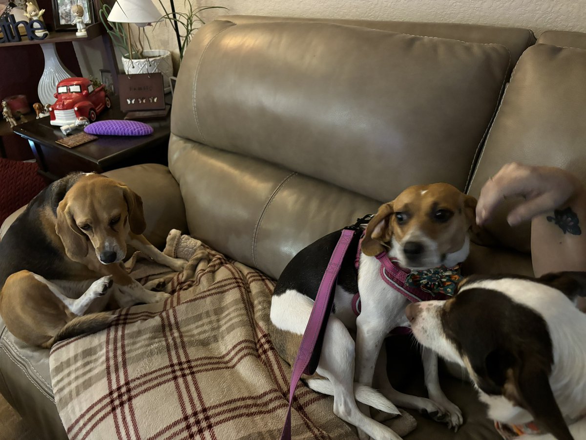 Teddy Bear 🌈 tweet media