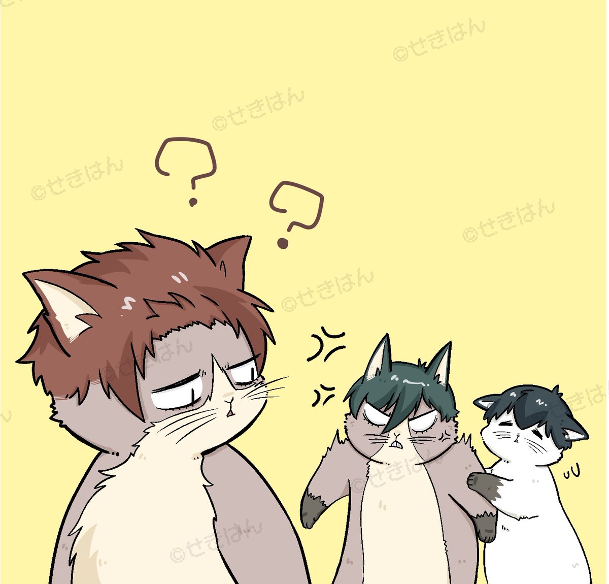 怒rn猫となんかつっかかってくるなと思ってるse猫