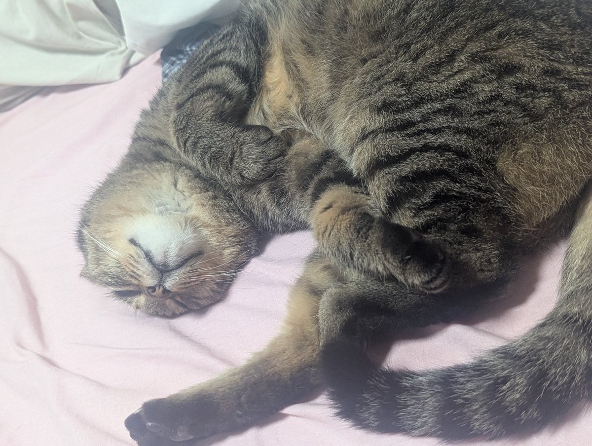 Rindou010119's tweet photo. 横転した家のレクサス https://t.co/heZUZ19wVN