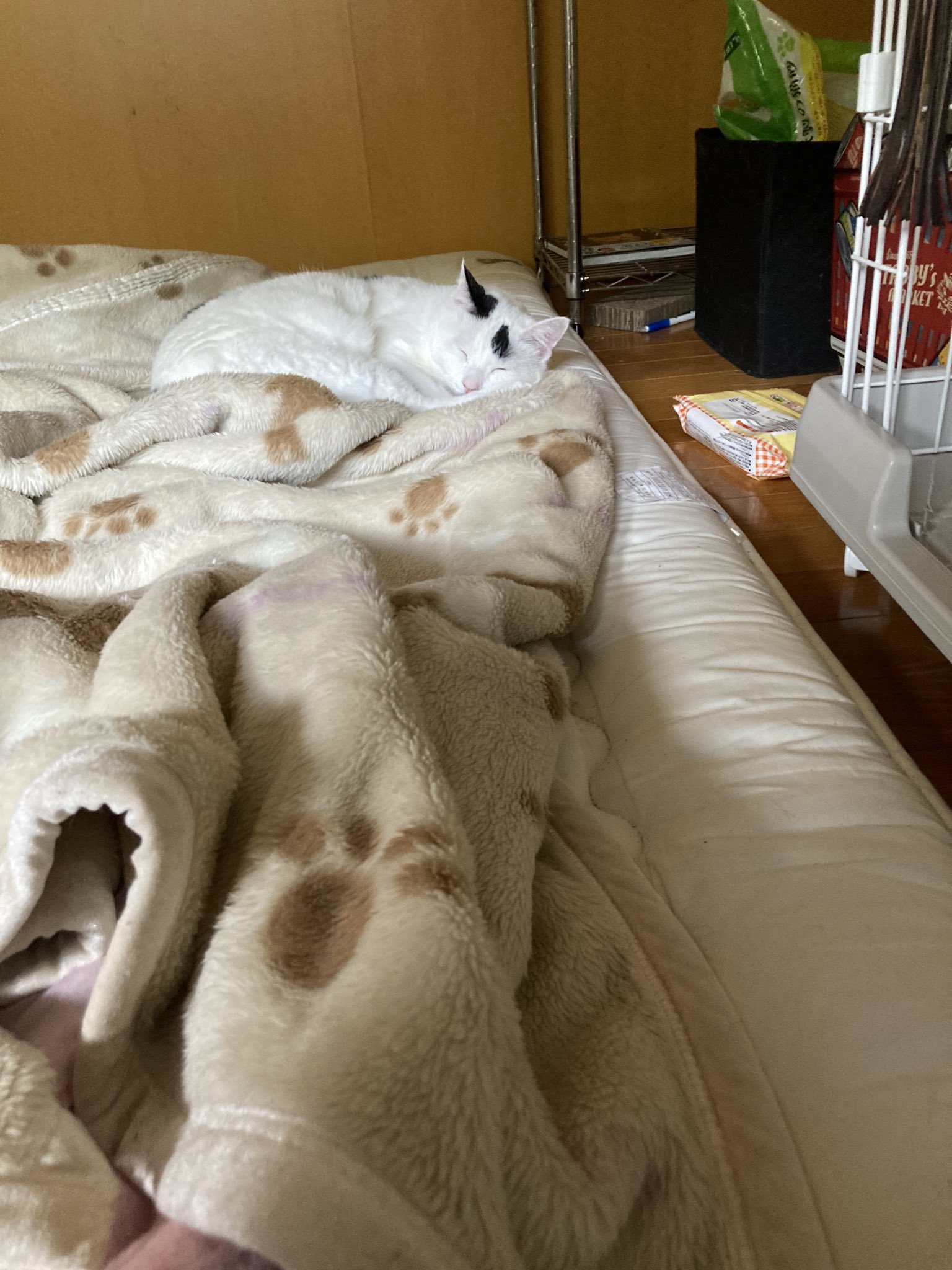 終了致しました。いいね！コメントして頂きありがとうございました。 栃木県宇都宮市の薪ストーブ専門店｜ファイヤーワークス北関東