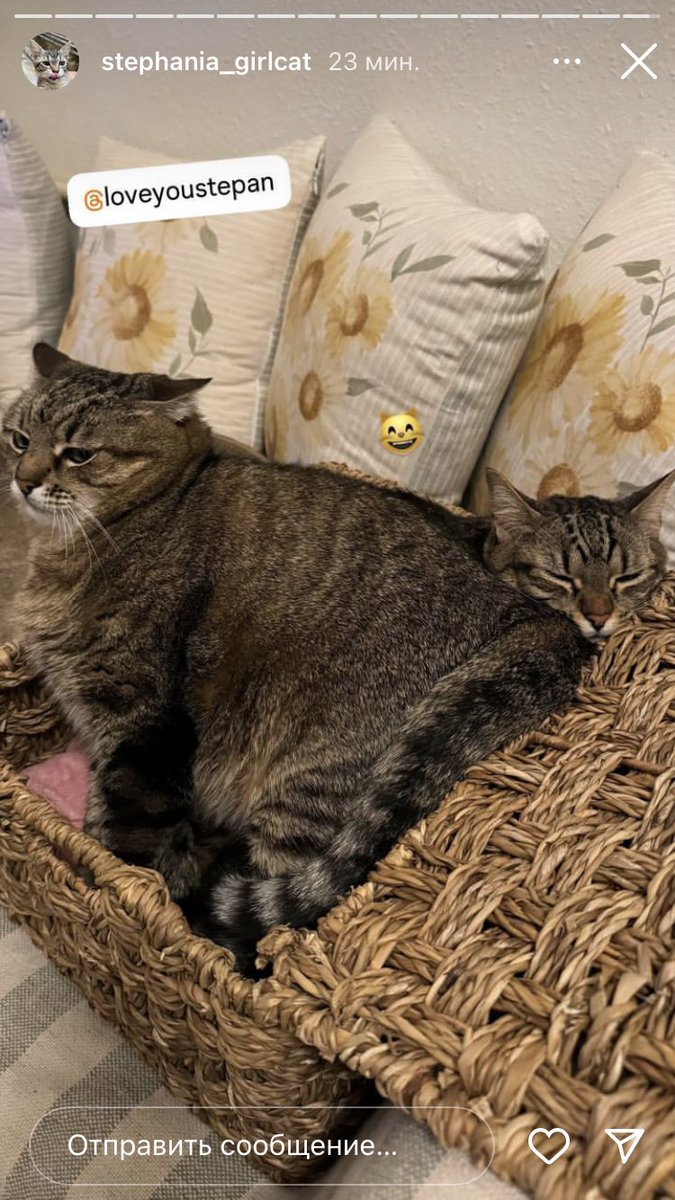 dmitoffal's tweet photo. @bilvizz https://t.co/oYR2uJTpKe