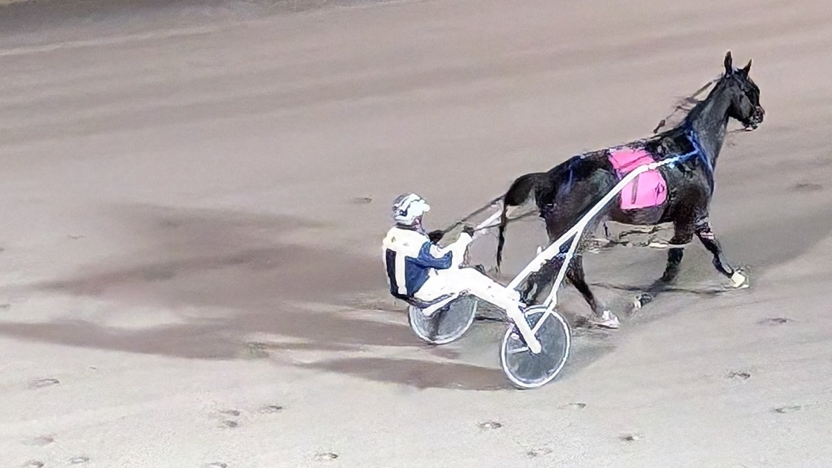 TheTriactor's tweet photo. Can 💡THE LIGHT SPEED ⏩& Guy Gagnon overcome post #7 again in Sunday, Nov. 10 @RideauCarleton Preferred Handicap Pace? 🤔
With @Hippodrome3R meet concluded, he will face LIGHT THE TORCH 🔦& ALADDIN🪔in R7
@RideauCarleton @TheTriactor @NahuPicks are up:
https://t.co/koJqOKlVfJ https://t.co/FWpdVHtm1p