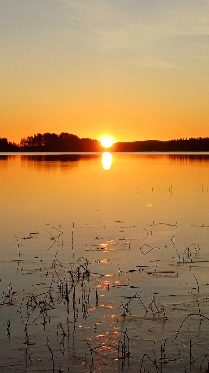 minna625's tweet photo. Upea #auringonnousu #marraskuu #hetki https://t.co/0iNheiWUaD