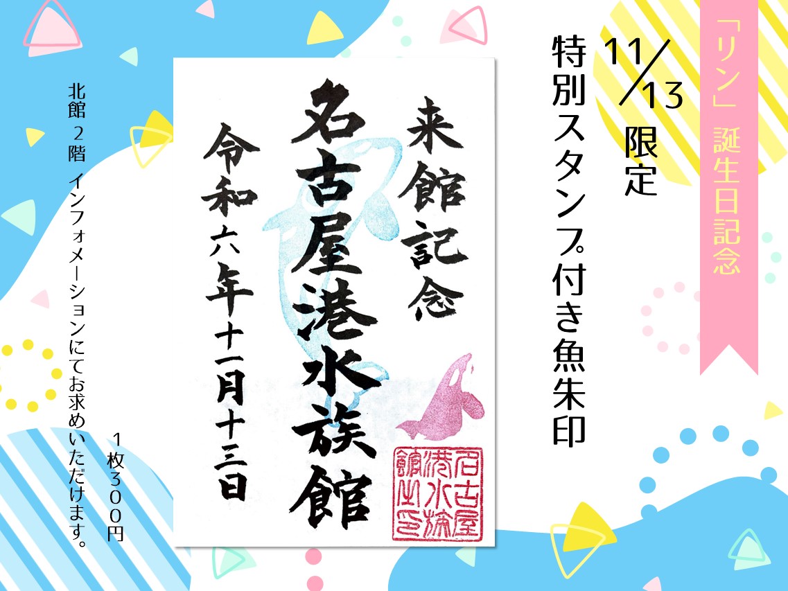 11月13日は #シャチ 「 #リン 」の誕生日。この日限定で「リン」を