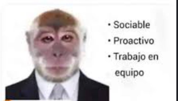 ESTUVE 3 HORAS ARMANDOME EL CURRICULO PARA Q QUEDE ASI
