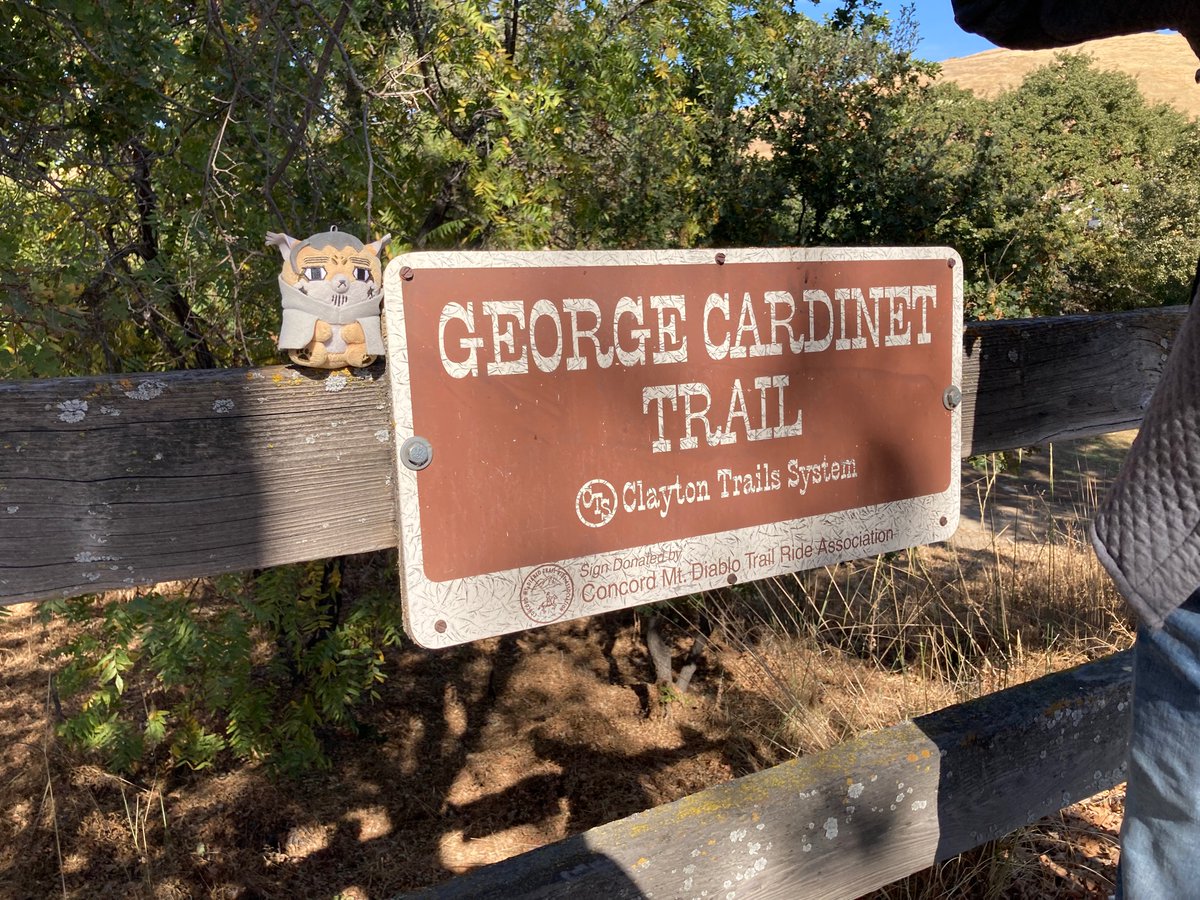 Little 🐏 tweet media