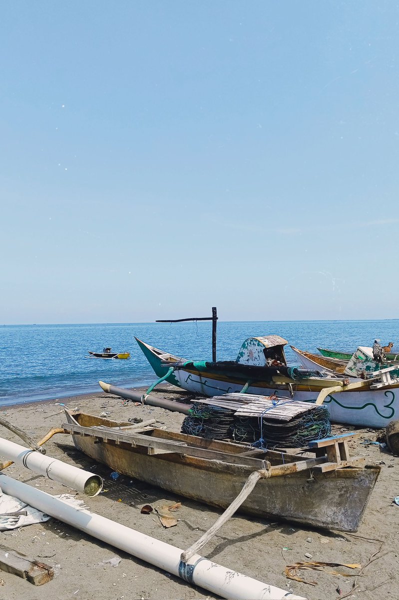 hest alter ego’ tweet media