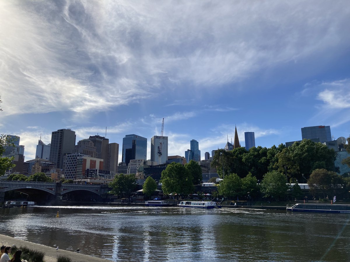 Shane Beaton tweet media