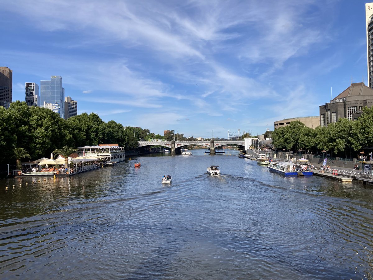 Shane Beaton tweet media