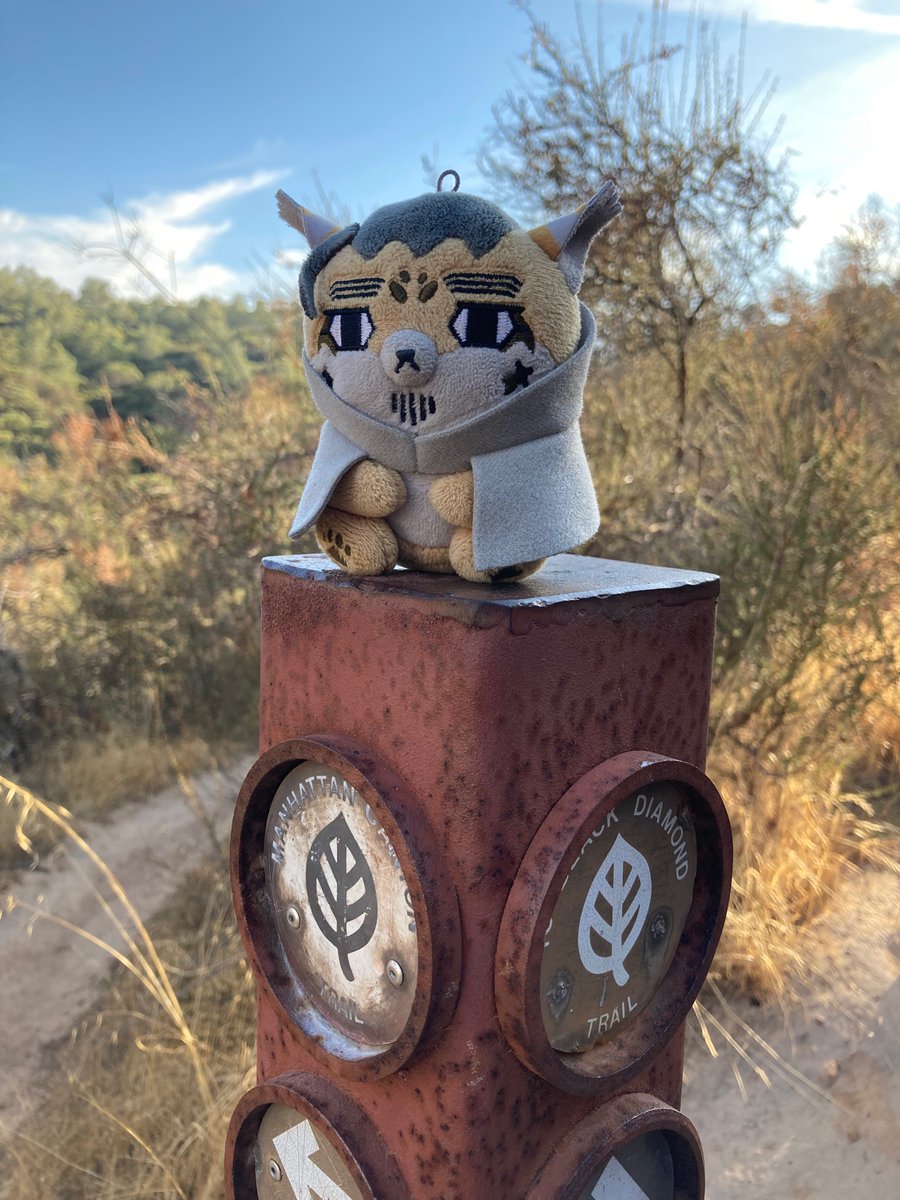 Little 🐏 tweet media