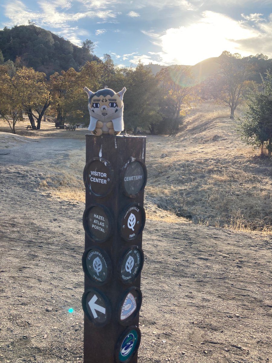 Little 🐏 tweet media