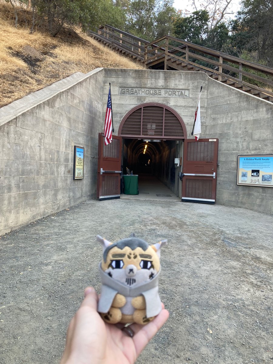 Little 🐏 tweet media