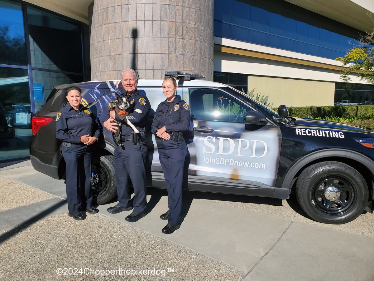 ChopperBikerDog's tweet photo. Little Chopper the Biker Dog Jr had a "Full" day 2day, making his 1st stop this morning 2 the @SanDiegoPD's "Woman's Hiring Expo". U know how much he love the ladies.... &amp; showing his support. 💙 YES, SDPD IS hiring, officers and dispatchers..... So you all can apply now.  😁💙😁 https://t.co/cLjMNxALQb
