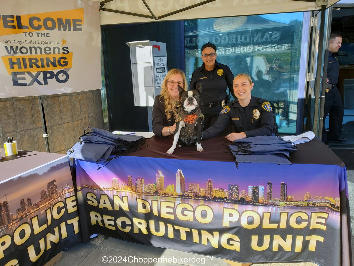 ChopperBikerDog's tweet photo. Little Chopper the Biker Dog Jr had a "Full" day 2day, making his 1st stop this morning 2 the @SanDiegoPD's "Woman's Hiring Expo". U know how much he love the ladies.... &amp; showing his support. 💙 YES, SDPD IS hiring, officers and dispatchers..... So you all can apply now.  😁💙😁 https://t.co/cLjMNxALQb