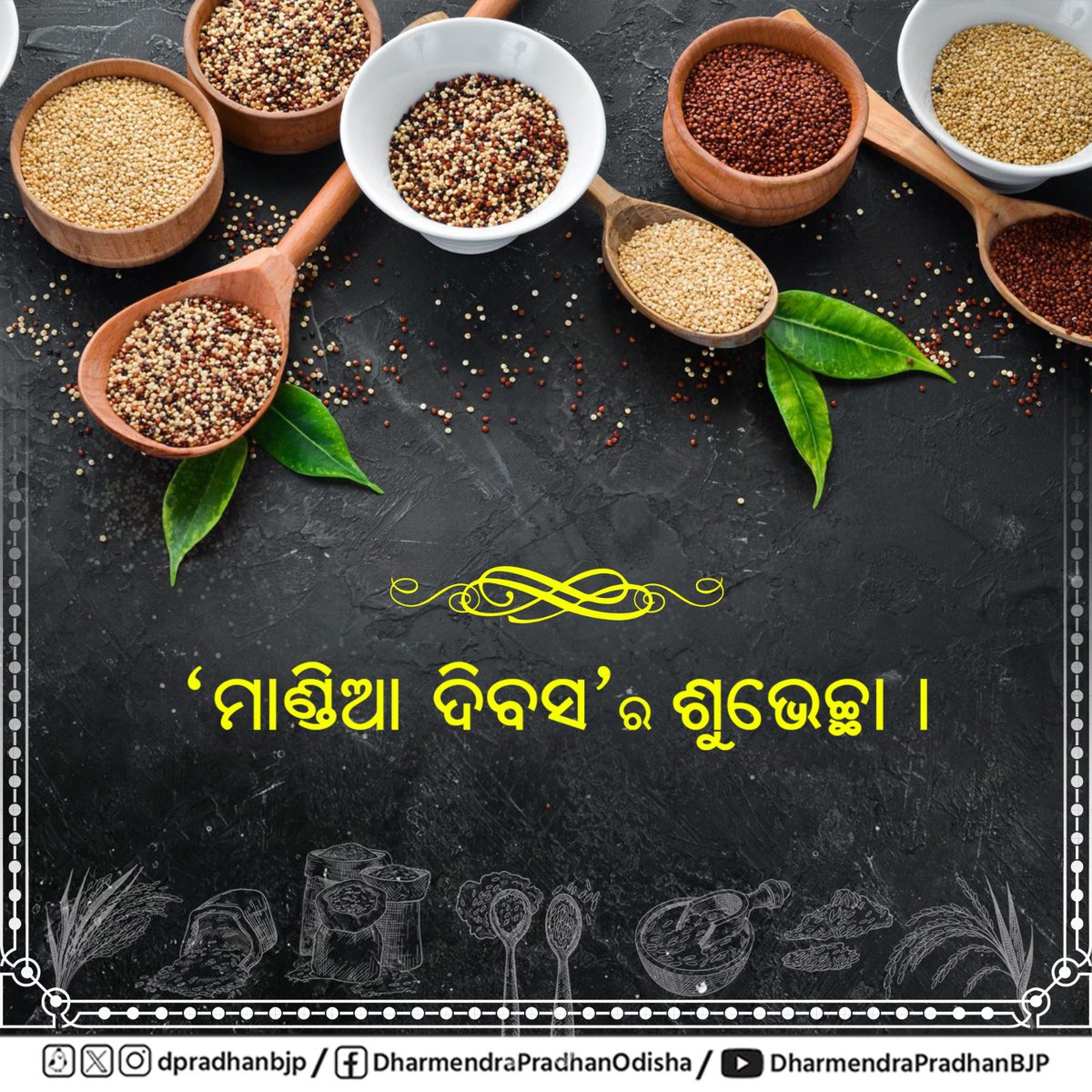 dpradhanbjp's tweet photo. ‘ମାଣ୍ଡିଆ ଦିବସ’ର ଶୁଭେଚ୍ଛା । ଆମର ପାରମ୍ପରିକ ଖାଦ୍ୟ ମଧ୍ୟରେ ମାଣ୍ଡିଆ ବିଶେଷ ସ୍ଥାନ ଅଧିକାର କରିଛି । ପ୍ରଧାନମନ୍ତ୍ରୀ @narendramodi ଙ୍କ ସରକାର ସବୁବେଳେ ମାଣ୍ଡିଆକୁ ପ୍ରୋତ୍ସାହିତ କରି ଆସୁଛନ୍ତି । ଆସନ୍ତୁ, ଏହି ସ୍ୱାସ୍ଥ୍ୟ ହିତକର ଖାଦ୍ୟର ଖୁବ୍ ପ୍ରଚାର ପ୍ରସାର କରିବା ଏବଂ ମାଣ୍ଡିଆର ଉପାଦେୟ ବିଷୟରେ ଜନସଚେତନତା ସୃଷ୍ଟି କରିବା ।