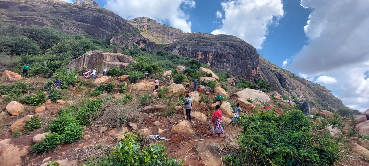 kaiti_gc's tweet photo. We’d like to recognise the incredible work of Dr. Muia, a valued member of the Kalamba community and KGC, who has joined forces with Ecogreen CFA and Kenya Forest Service (KFS) to kick off a tree planting initiative in Nzaui Forest, Makueni County.

#CommunityConservation https://t.co/DU01SPhUTB