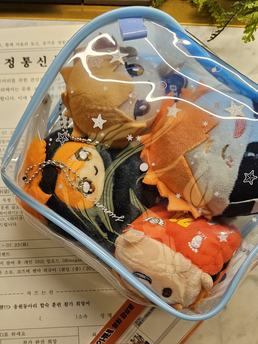 안녕하세요..  혹시 홍대에서 히나타 인형 파우치 보신 분 찾습니다... 저번주 일요일에 잃어버린거 같고요.. 사진과 같은 인형 6개가 들어있고요 파우치는 저것보다 투명하고 검정 지퍼입니다... 혹시라도 보셨다면 언제든지 연락주세요...