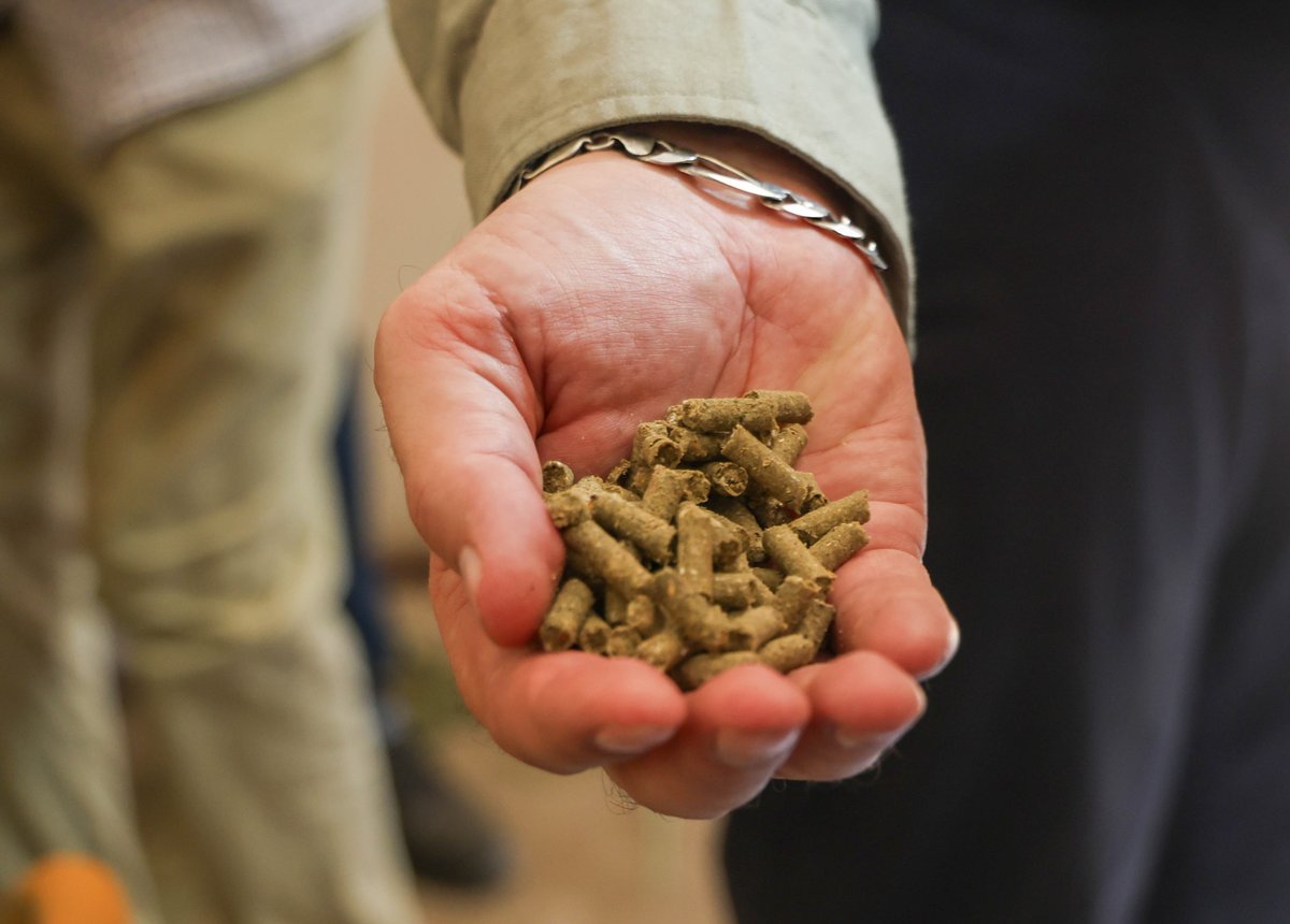 It was a pleasure to welcome @FAOEmergencies Director @ReinPaulsen to Somalia. Together, we visited Goobweyn and Bula-Garsay villages in Kismayo to observe FAO's response, recovery &amp; anticipatory action projects on the ground.