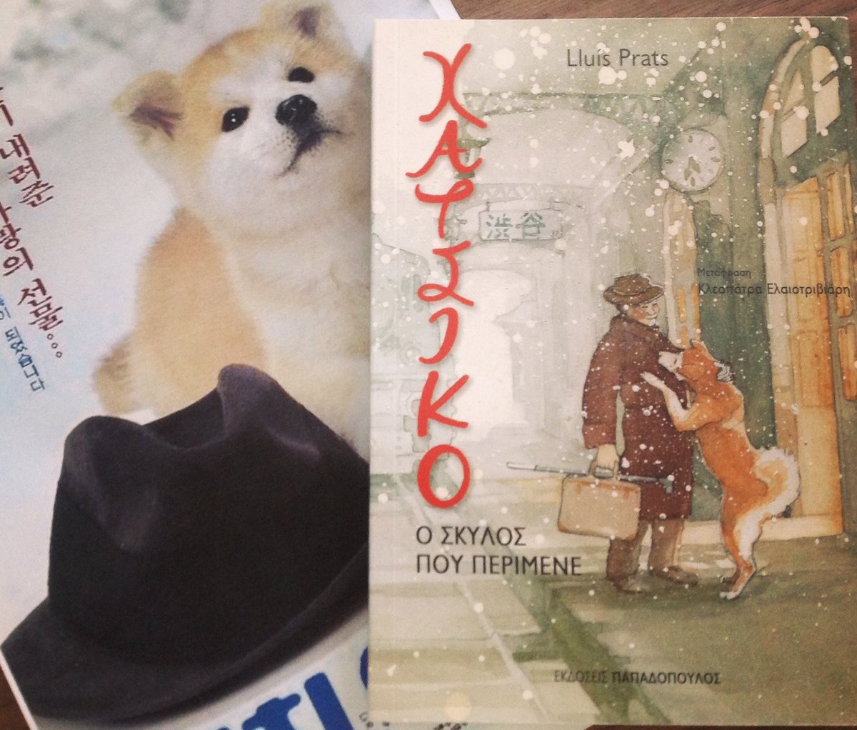 10 Νοεμβρίου 1923 γεννήθηκε ο Hachiko ハチ公 🐾🐕.
Το σκυλί που έμεινε στην ιστορία για την αφοσίωση και τη πίστη  του προς το αφεντικό του.
Μετά από 101 χρόνια οι Ιάπωνες συνεχίζουν να τιμούν αυτό το υπέροχο πλάσμα..