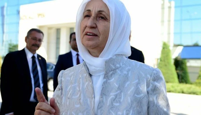 Melek İpek 

Sofrasında oturdunuz 
Elini öpmek için sıra oldunuz 
Otelinde misafir olmak için kapısında yattınız

Hayırsever yanından başka neyini gördünüz ?

Bütün çocuklarından ayırdınız 
Malına mülküne çöktünüz, evinden attınız 

Bunlar da yetmedi, ananız yaşındaki hasta