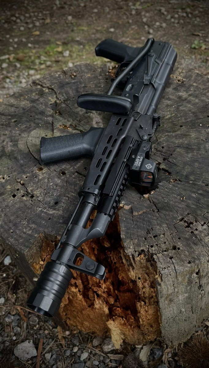 mileto_airsoft's tweet photo. #いい銃の日 #AMD65 https://t.co/jRAXJKKtAk