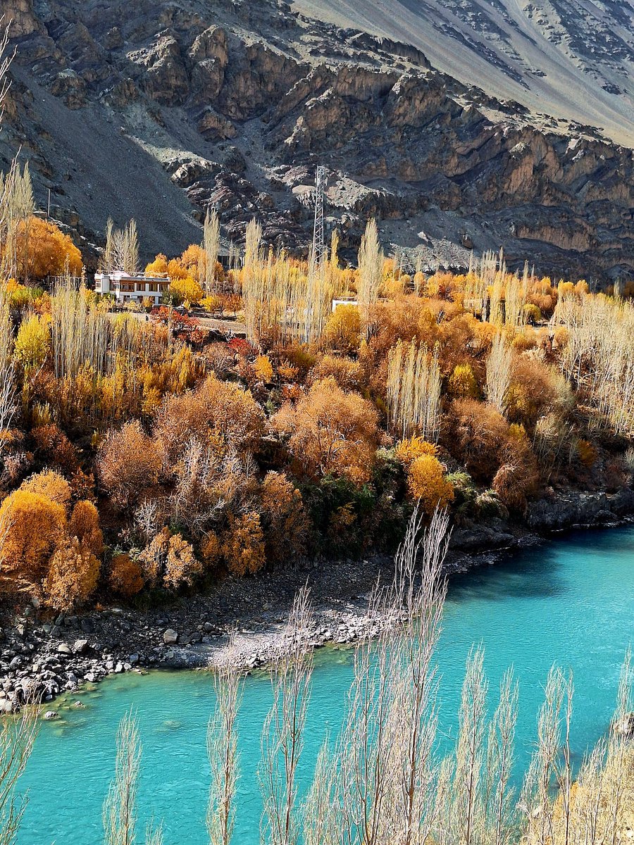 LadakhSecretary's tweet photo. Flame, Gold and Emerald ! The Fall Collection ! Leh on the banks of Indus. #Ladakh #Indusalley #Sindhu #autumn2024 #IncredibleIndia
@utladakhtourism @tourismgoi @PIB_India @PIBHomeAffairs @PIBSrinagar @ddnewsladakh @DDNewslive @DDIndialive https://t.co/qLiVhVWrYJ