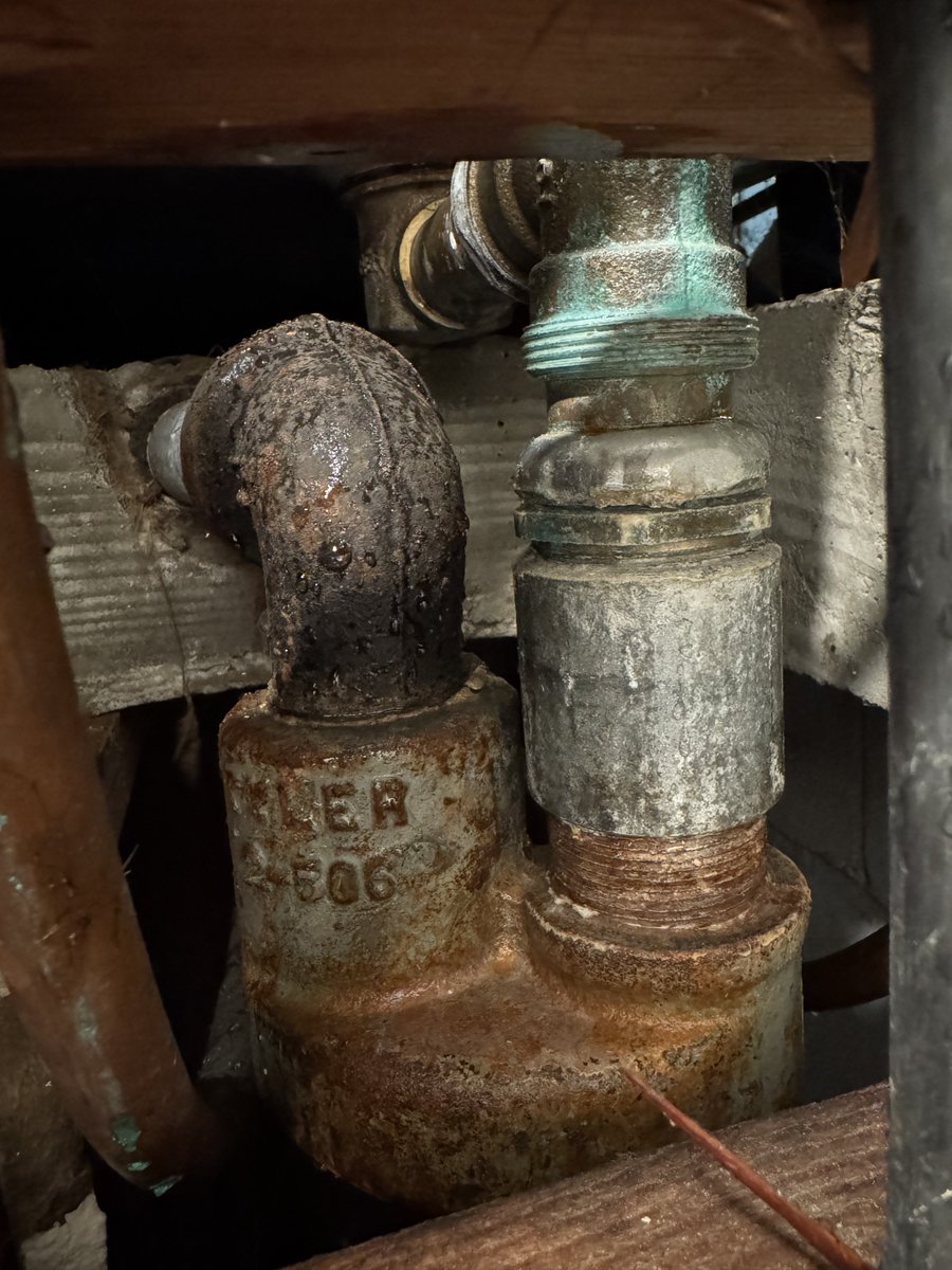 Mallory Eeeeeeee tweet media