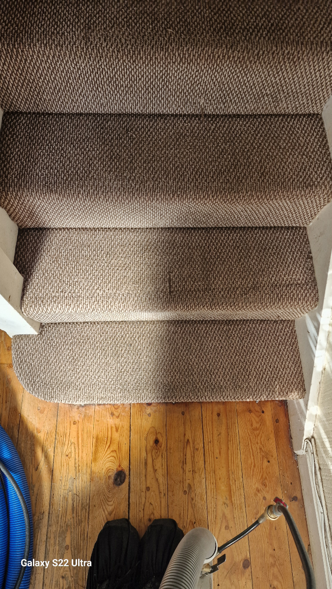 dmcarpetclean's tweet image. Nothing beats that fresh carpet look and feel! Cardiff, let’s make your home shine. 🌞💧 #DMCarpetMagic #CleanAndBright #CardiffLife