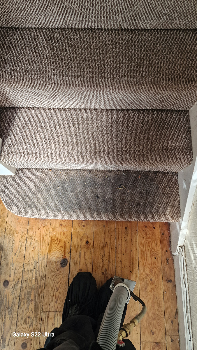 dmcarpetclean's tweet image. Nothing beats that fresh carpet look and feel! Cardiff, let’s make your home shine. 🌞💧 #DMCarpetMagic #CleanAndBright #CardiffLife