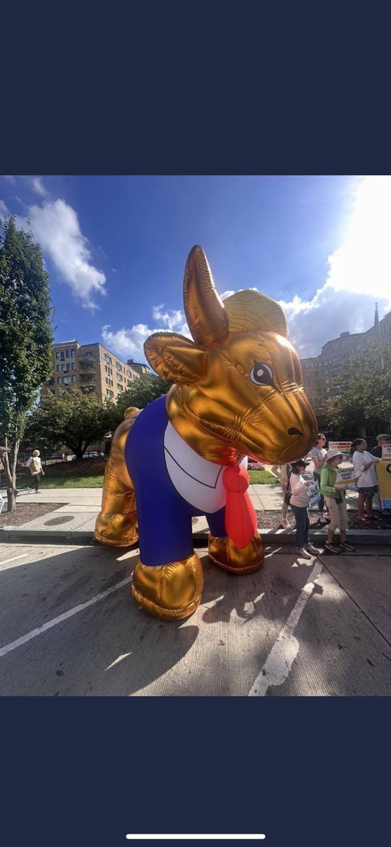 BADGERTRADES420's tweet photo. @btc_charlie Trumps Golden $BULL enjoyer! 

@trumpgoldenbull https://t.co/vt9ZBMkeH3