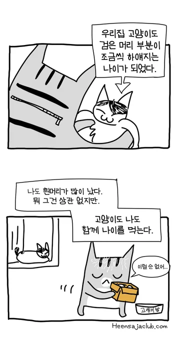 우리집 고양이와 늙어가는 나날들 #뚝뚝만화데일리 (2024.04.02) 