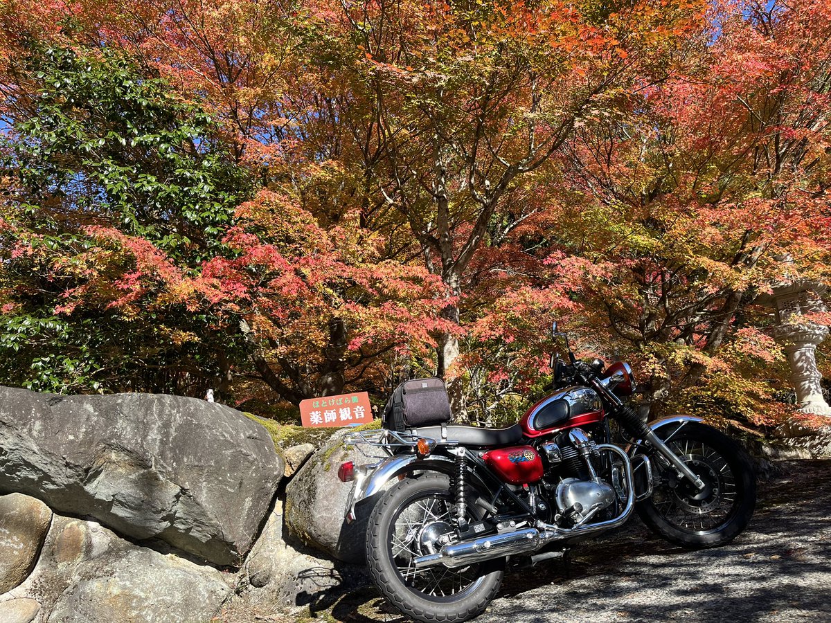 man5_p's tweet photo. あ〜明日もずっと遊んでいたい… 🍂🍄‍🟫🍁🍶🛵🌬️ https://t.co/MRqUHh4Sj6