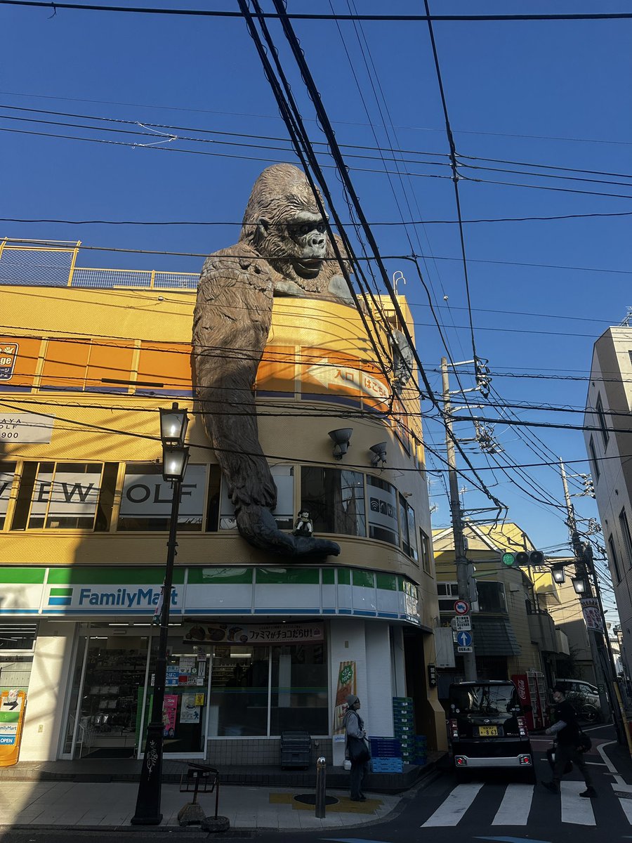 Stijn de Vreede 🍿 tweet media