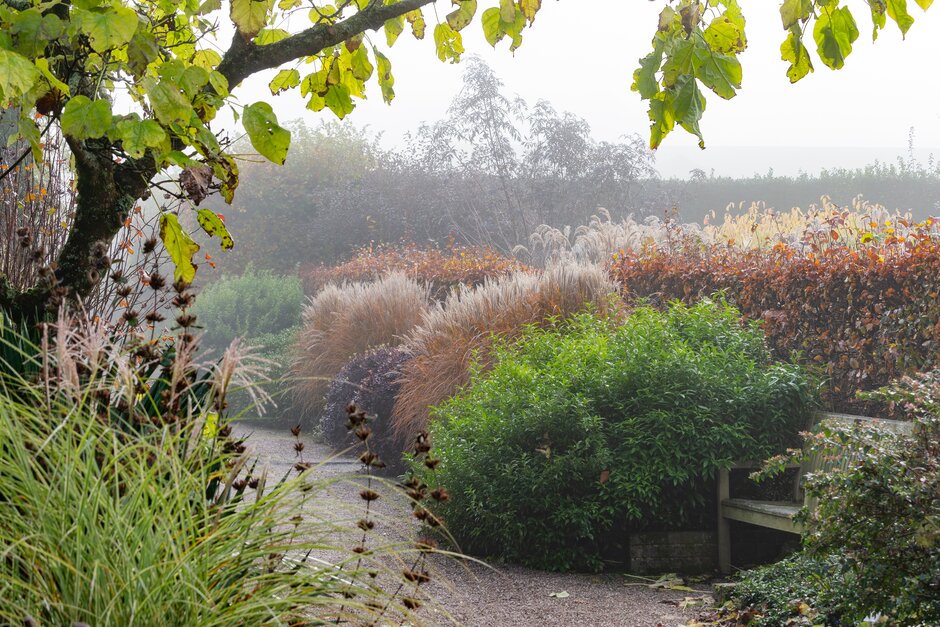 RHS_Rosemoor's tweet photo. If you are thinking of adding some grasses to your garden to add some textural interest, now is a great time to visit our Hot Garden for design inspiration! You can even find some of the plants for sale in our extensive Garden Centre.
#wintertextures #wintergardeninspiration https://t.co/hhSzhlZv9T