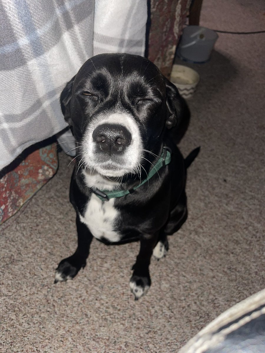 Sam Fashion tweet media