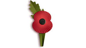 As a retired ACF officer I want to public ally thank all the young people of all the cadet for es and other youth organisations who will give up their time today to honour those who never came home and those who only partially came home either physically or mentally. Thank you.