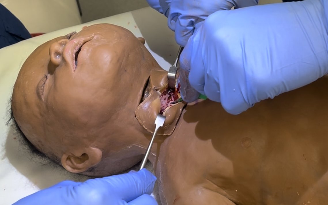 Incredible training manikins. This is what we use to teach our clinicians tracheotomy for infants and small children
unrealanatomy.com.au