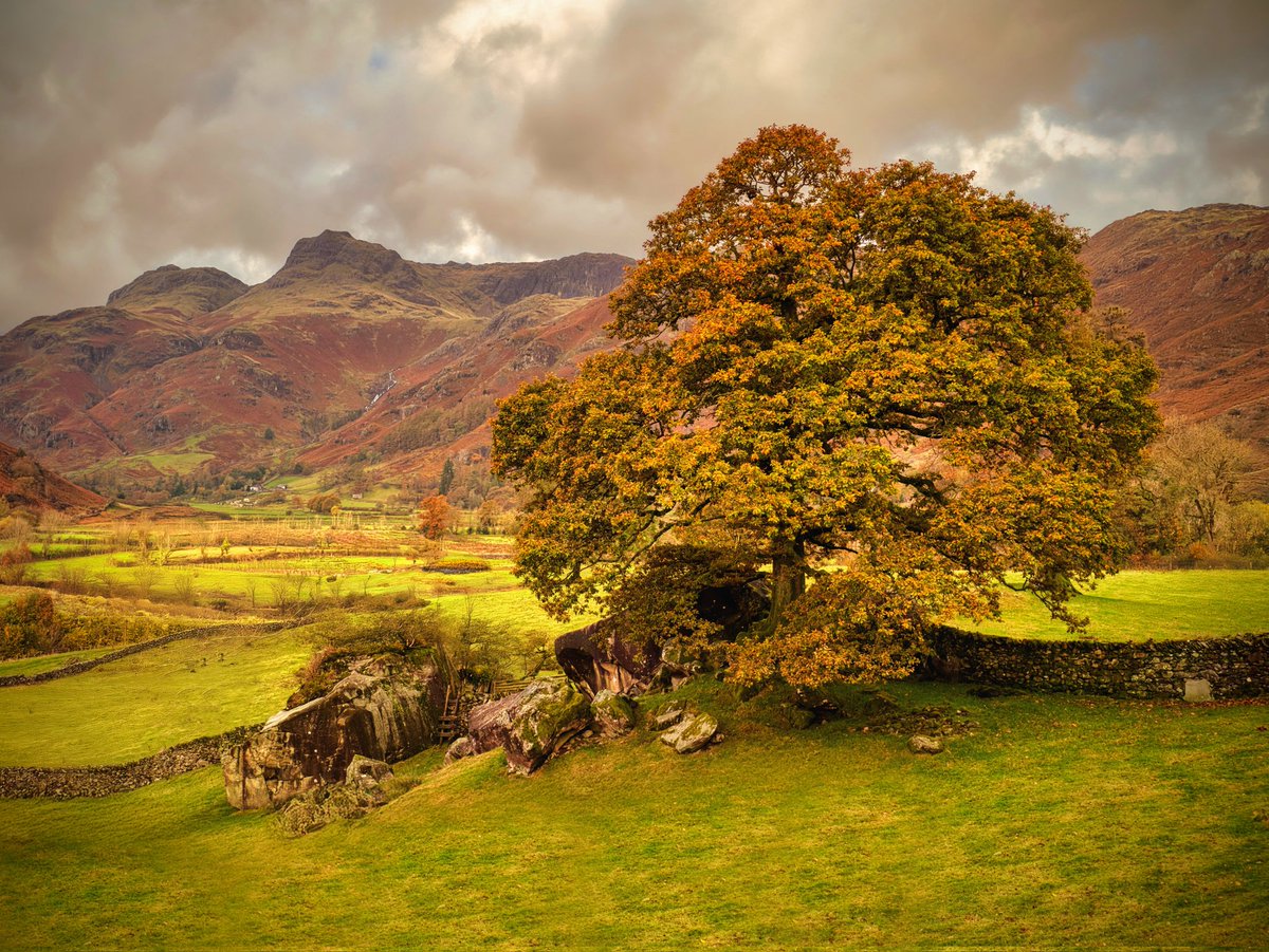 lakesrhino's tweet photo. Morning everyone I hope you are well. The Langdale Boulders. You will find Neolithic stone art, dating back 4000 years, with the boulders now designated as "national monuments" by English Heritage. With a lovely ancient oak tree, it is a beautiful setting. Have a great day.
#LakeDistrict