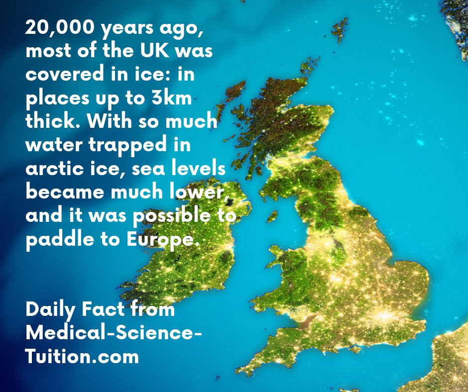 MedSciTuition's tweet photo. Daily Fact from https://t.co/Cp41zVKb1Y 
GCSE and A-level Science one to one and group tuition provided by expert, experienced, qualified teachers. Contact us for more details or to sign up. 
Email: admin@medical-science-tuition.com 
Or
What's app:  07743 245859. https://t.co/Y9lKyoTFKx