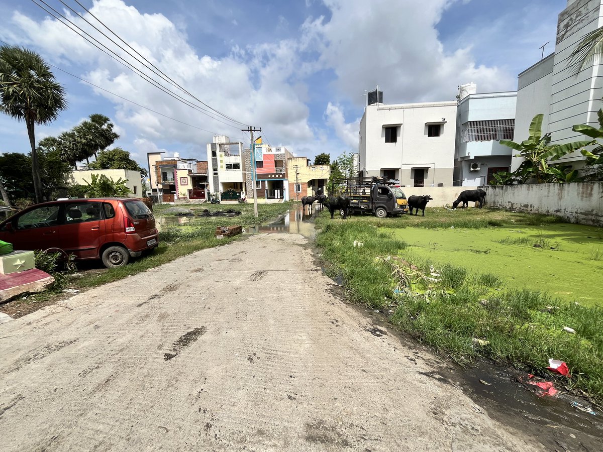 imSnaren's tweet photo. This s how our streets are for past 6 months in #irandankatalai kundrathur. Tired of reaching all the officials none helping us. Lots of snakes insects here, not even bleaching powder given. Can any one help us pls. @KanchiCollector @mkstalin @Udhaystalin @thamoanbarasan https://t.co/ydJfJWytRK