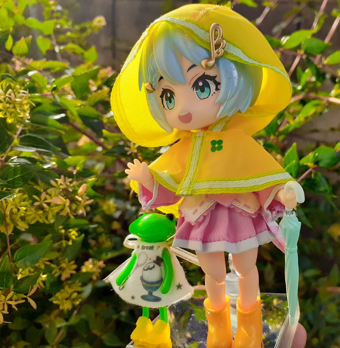 ワンダーフロッグ studio-uoo