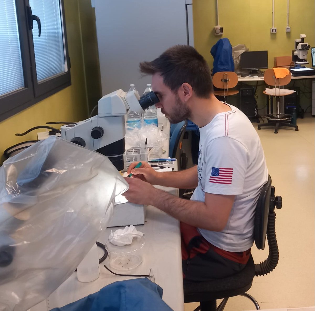 BossoLuciano's tweet photo. A fantastic sunday spent in dissecting and taking pictures of #Littorina saxatilis 🐌 collected in the Venice lagoon with @FraRaff_Delfina 

#fiasco #alienspecies #project #PNRR #Italy #research #scientists #ecology #evolution https://t.co/BHdXi7oxwZ
